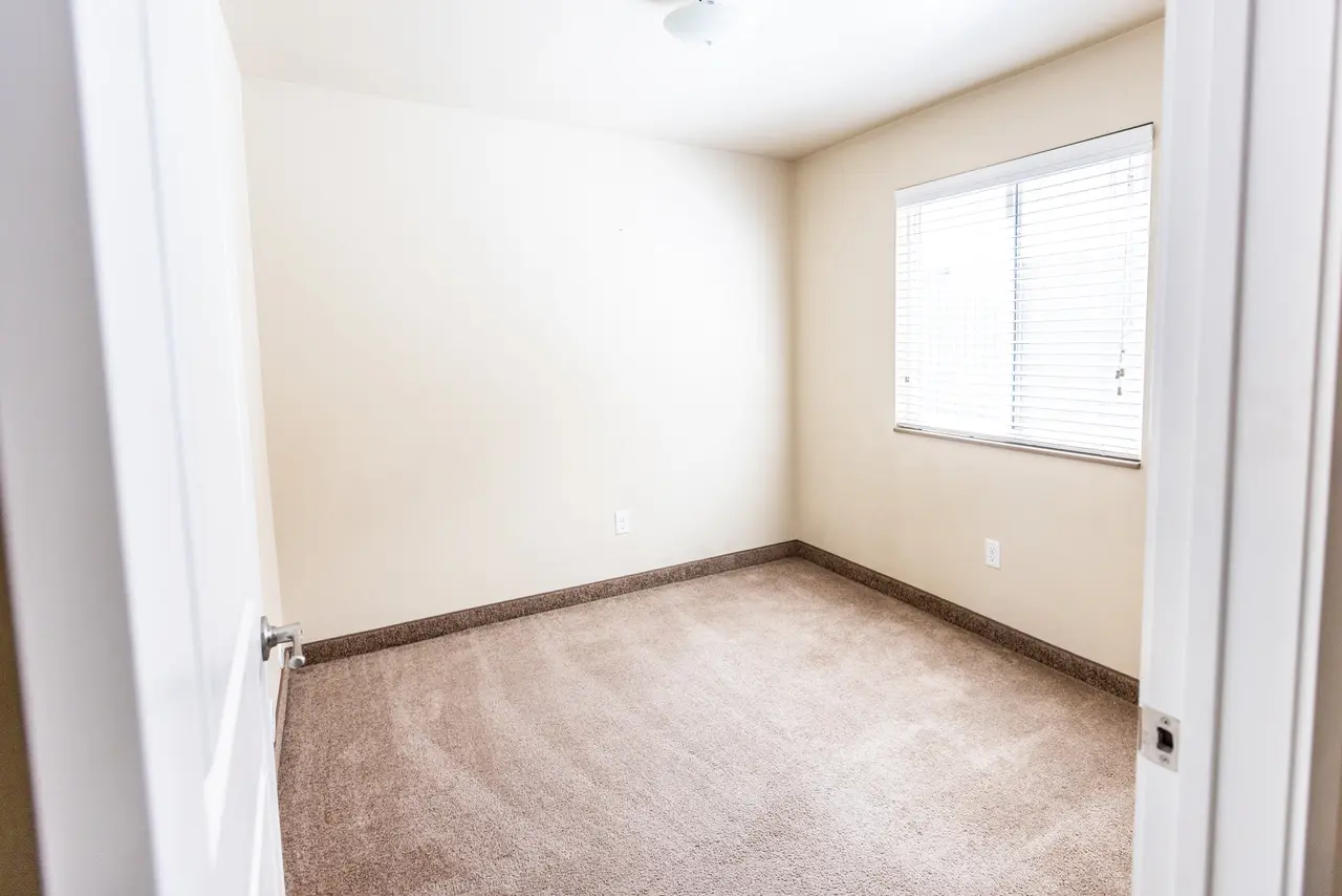 An empty room with a carpet